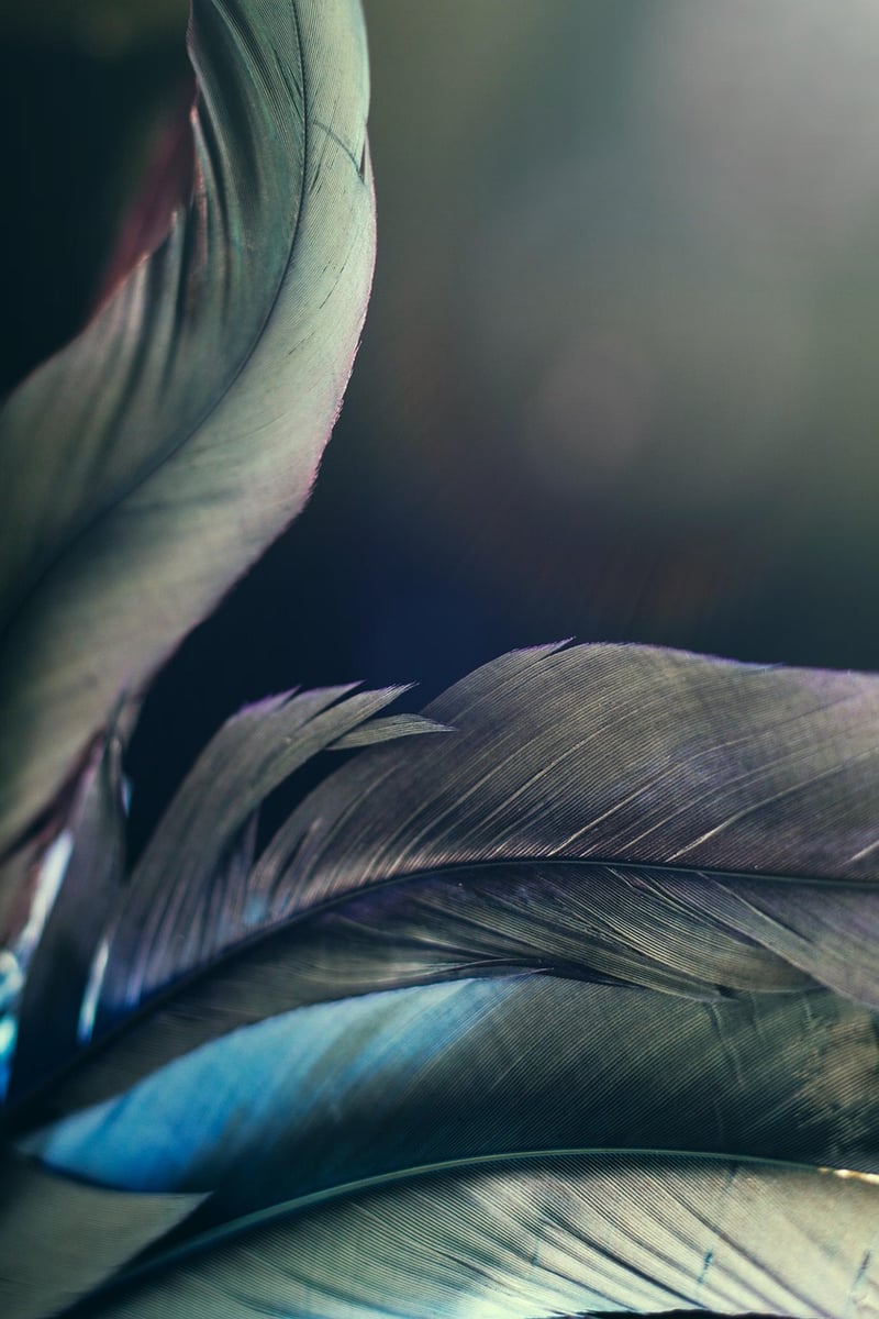 Magical Glow