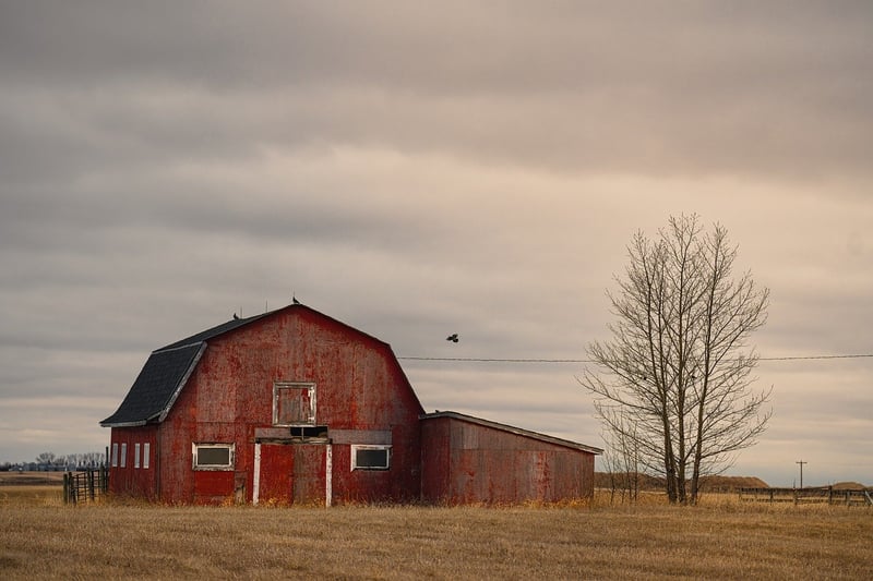 Rustic Barn Charm
