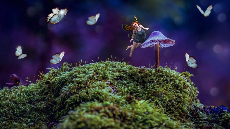 Whimsical Forest
